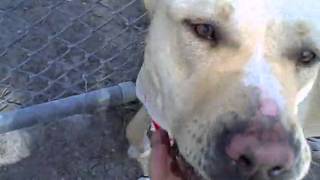 Bonnie 2.AVI