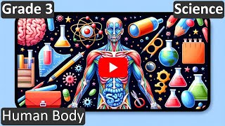 Human Body | Class 3 | Science | CBSE | ICSE | FREE Tutorial screenshot 5