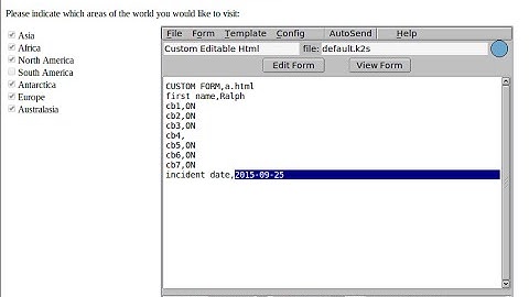 2 - FLMSG Custom HTML Forms - Check boxes
