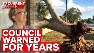 Pensioner's home unlivable after council tree collapses | A Current Affair