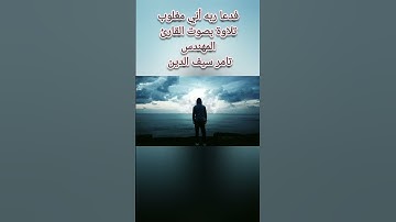 فدعا ربه أني مغلوب فانتصر. تلاوة بصوت القارئ المهندس تامر سيف الدين