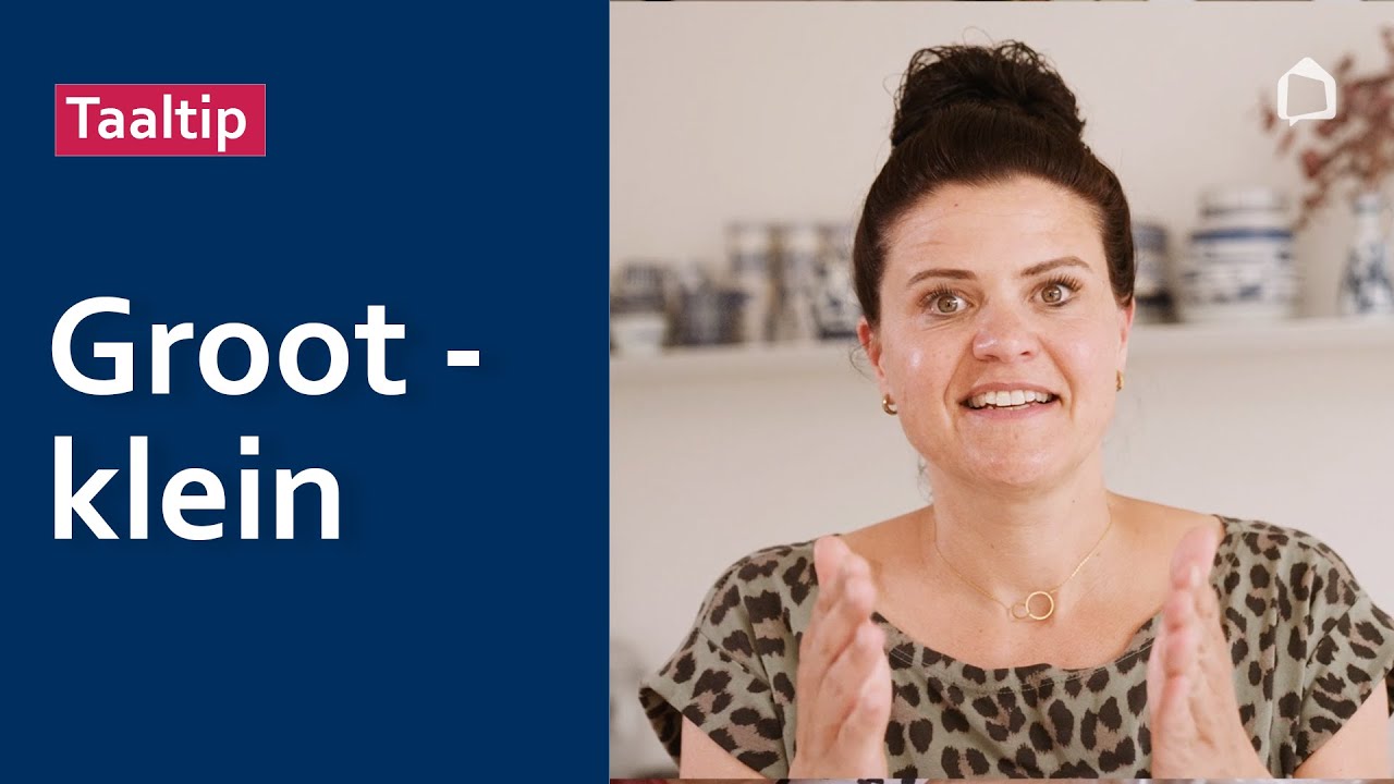 1. Wat is een tegenstelling in het Nederlands? | Taalklas.nl 2| Oefenen.nl