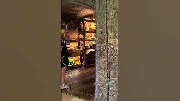 Walking Through a Hobbit Hole in Hobbiton, New Zealand #newzealand #hobbiton #lordoftherings