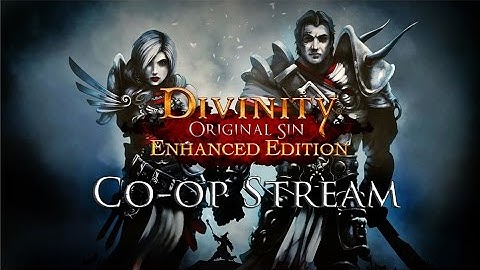 Fextralife Divinity Original Sin EE Co Op