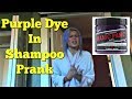 PURPLE DYE IN SHAMPOO PRANK - Top Boyfriend and Girlfriend Pranks