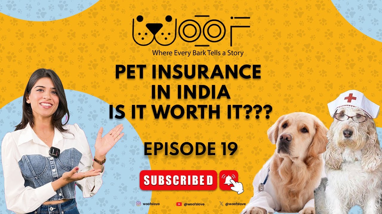 pet-insurance-in-india-is-it-worth-it-woof-episode-19-youtube