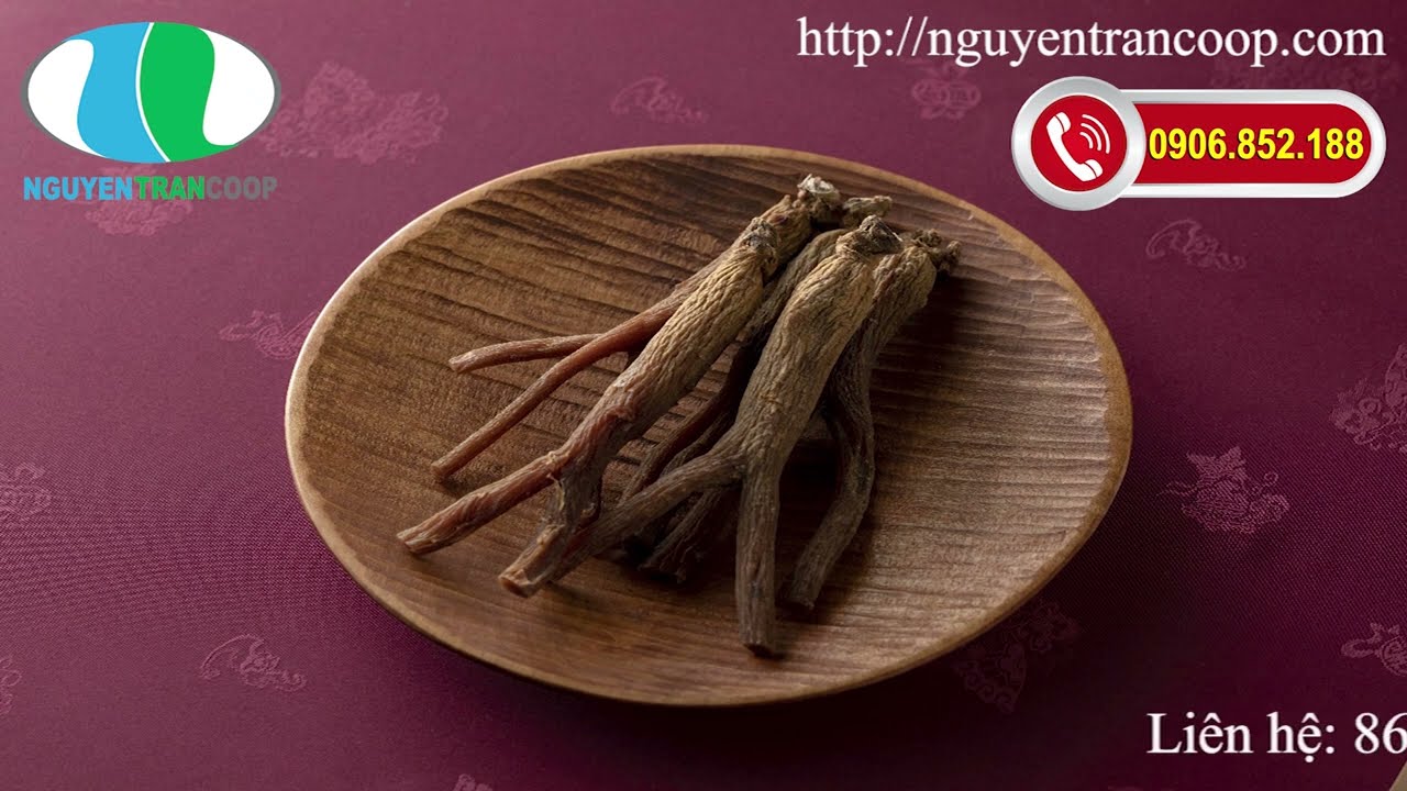 Cách Bảo Quản Sâm Tươi Hàn Quốc - Giữ Nguyên Chất Lượng và Dinh Dưỡng