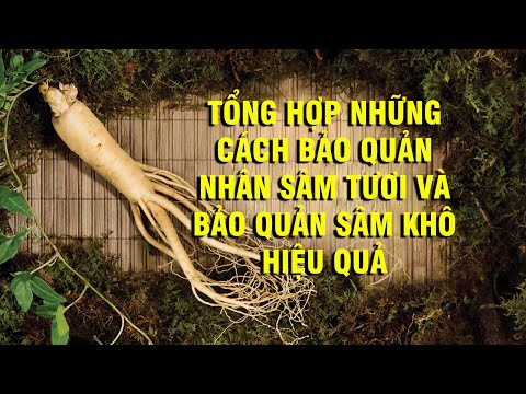 Video: Cách Làm Sấy Củ Nhân Sâm - Mẹo Làm Sấy Và Bảo Quản Nhân Sâm