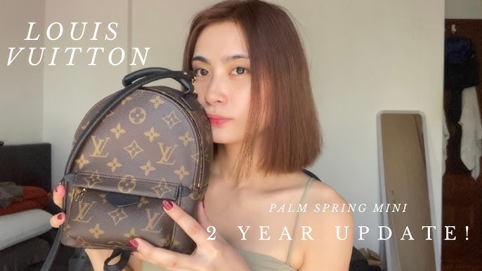 6 REASONS YOU SHOULD NOT BUY THE LOUIS VUITTON PALM SPRINGS BACKPACK MINI