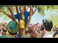 077 - Zacchaeus  (English)