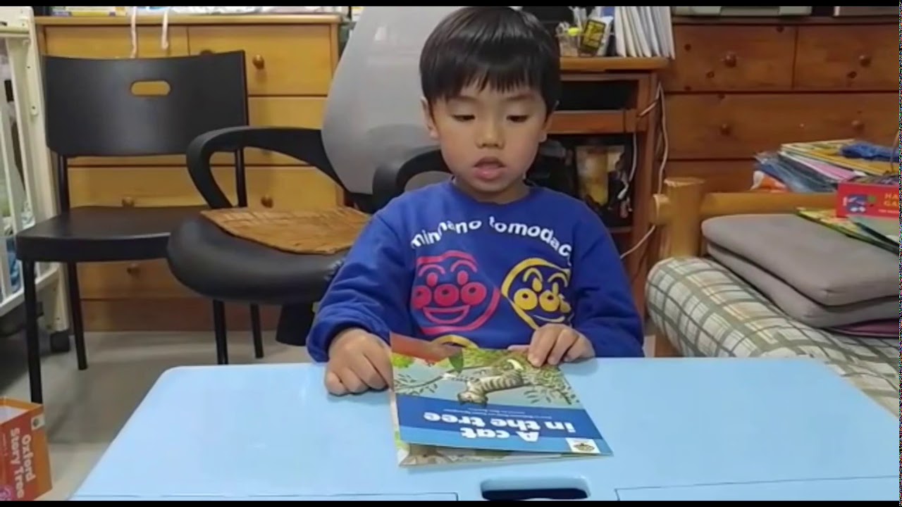 [Oxford Story Tree] Level 2 - A cat in the tree