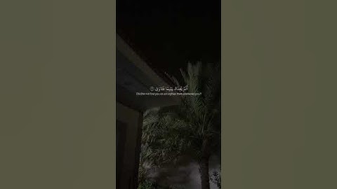تلاوة خاشعة ولسوف يعطيك ربك فترضى ❤️ الشيخ ماهر المعيقلي #القرآن_الكريم #ايات #quran #قران #راحة_نف
