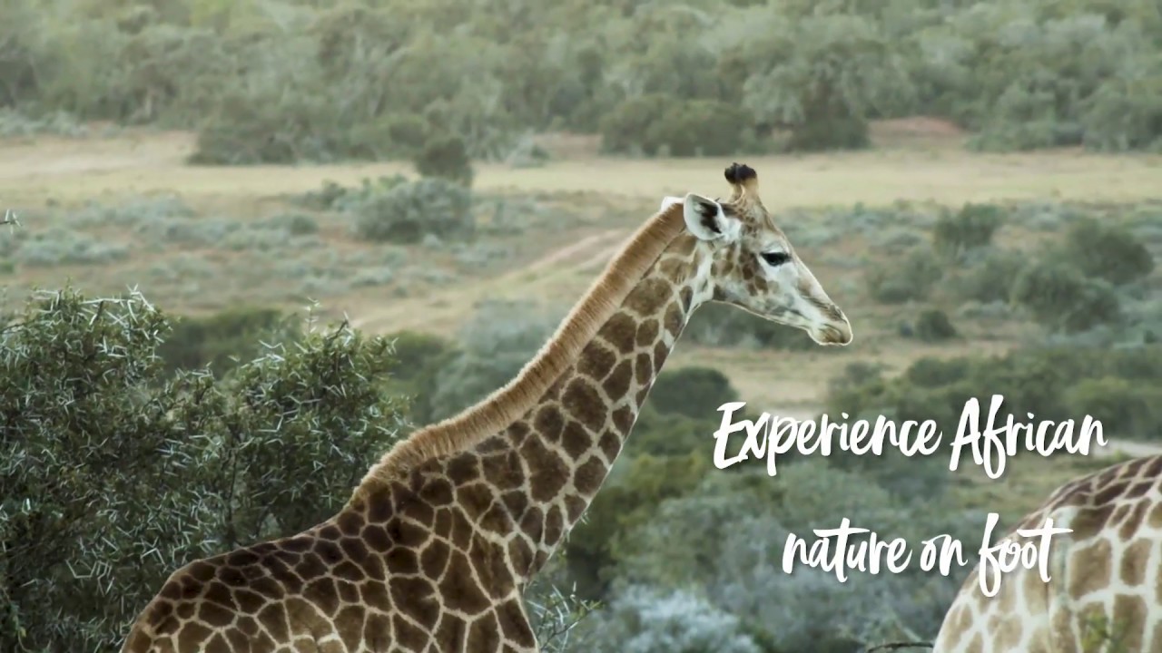 It's all Yours! - Explore our Adventure - Nelson Mandela Bay 