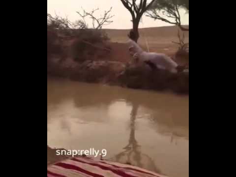 واكبد يلي