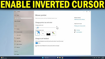 How To Enable Inverted Cursor in Windows 10/11