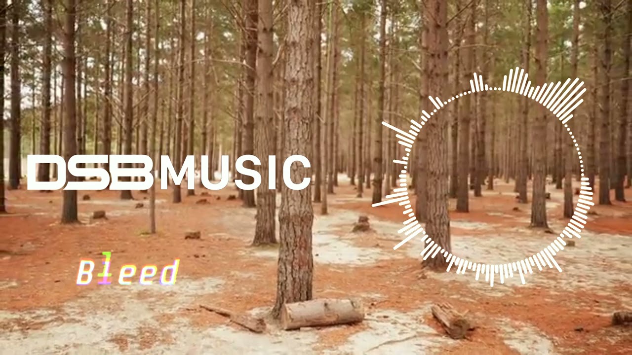 Bleed (DSB Music 2021)