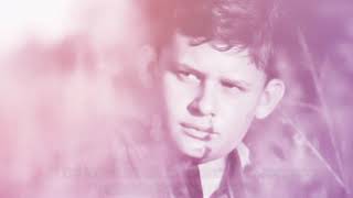 Download Lagu He Ain't Heavy, He's My Brother 他不重,他是我兄弟 / The Hollies [ 中英歌詞 ] MP3