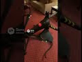 He didn’t see it coming 😂 #shorts #sora2 #dronevideo
