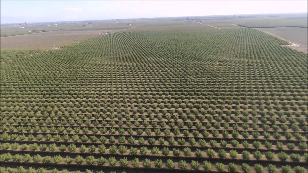 Keledjian Ranch March 2017