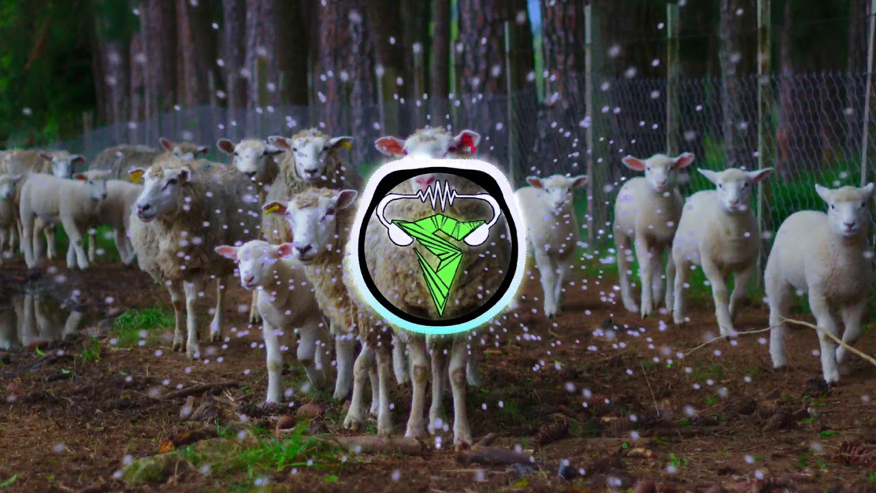 Lay - Sheep [Alan Walker Relift] | S-BEAT - YouTube