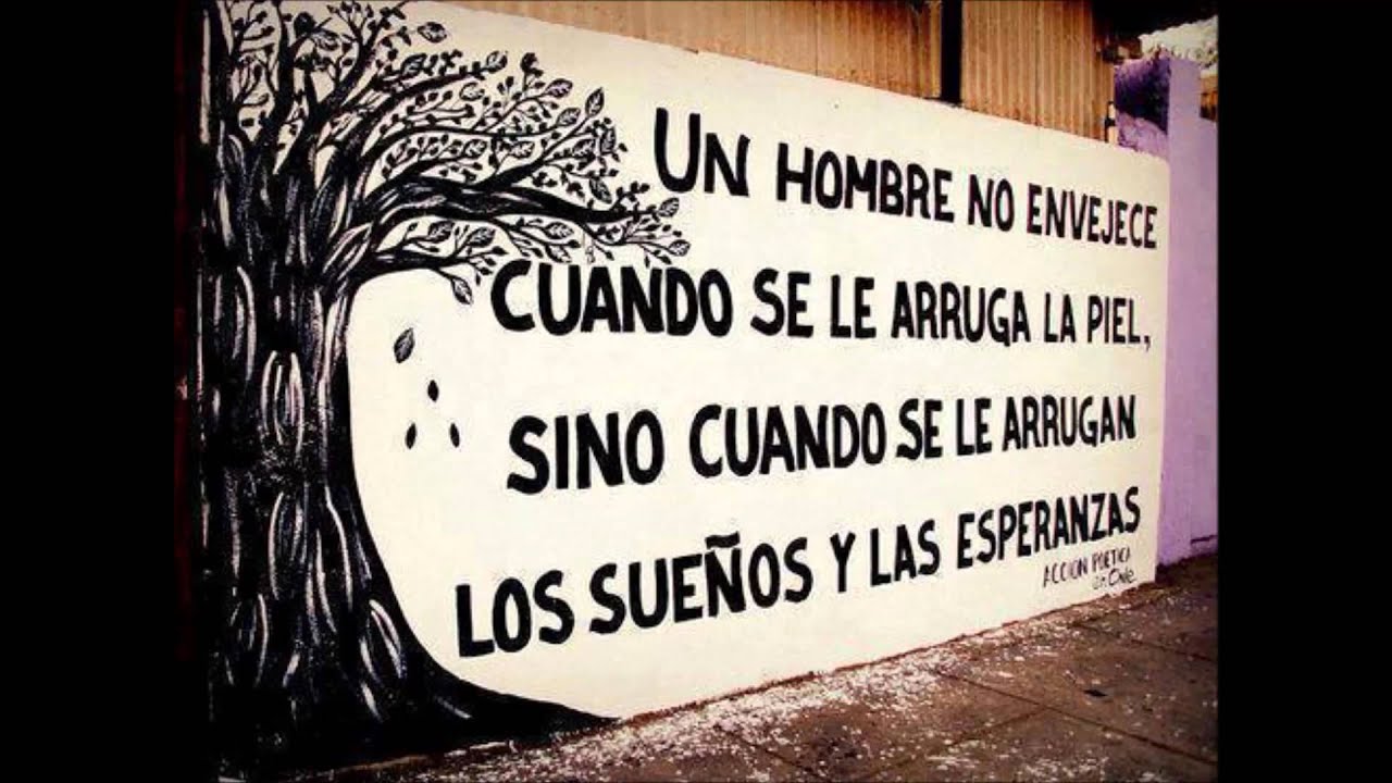 FRASES DE LA VIDA - YouTube