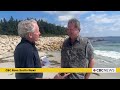 Why more shark encounters are happening in Nova Scotia