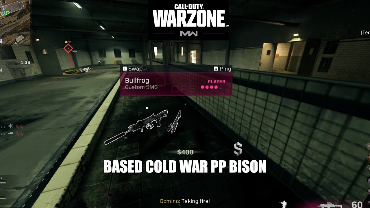 The BASED PP Bison (COLD WAR BULLFROG) - COD Warzone Resurgence Trios ...