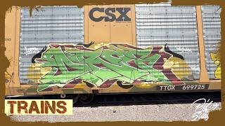 FREIGHT TRAIN GRAFFITI BENCHING - Train Yards of Los Angeles - 5 Miles of Tracks (Part 1)