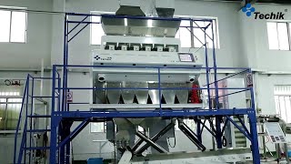 Pumpkin Seeds Intelligent Production Line (Color Sorter + X Ray)