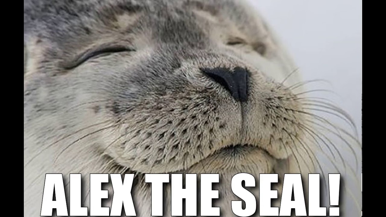 ALEX THE SEAL!