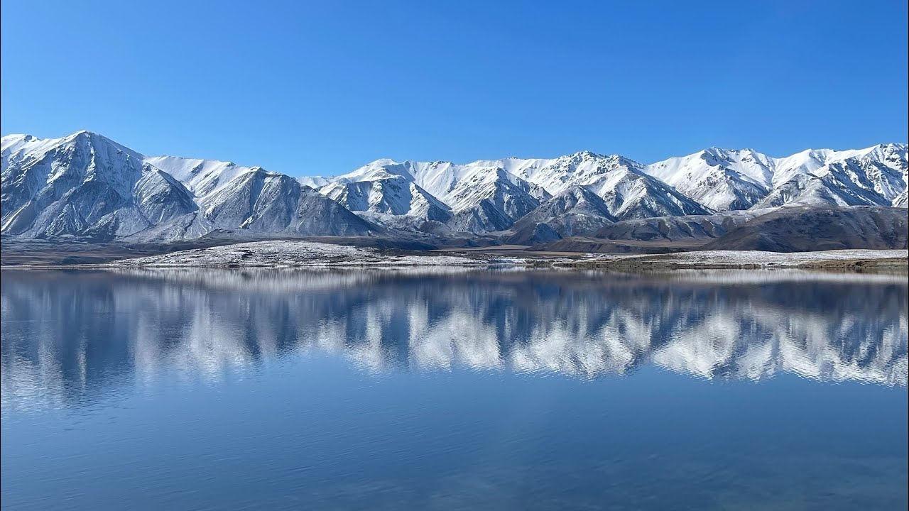 Hidden Gem of Canterbury Lake Heron NZ must visit here 