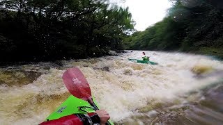 High Water Kayaking On The River Dart