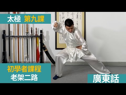陳式太極拳　老架一・二路　新架一・二路　VCD 陳式太極拳 老架一・二路 新架一・二路 VCD - メルカリ
