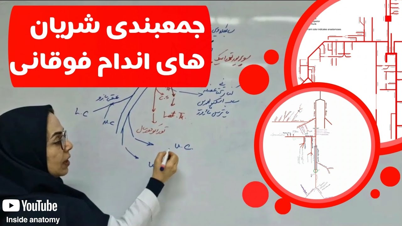 جمعبندی کامل شریان های اندام فوقانی در10دقیقه⏱️📈