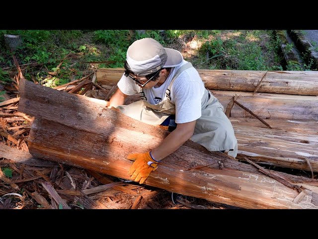 DIY】杉の木の皮むき始めました。 - YouTube
