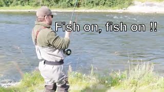 Fly fishing  Hunting the Atlantic salmon in the river Orkla Norway 2022