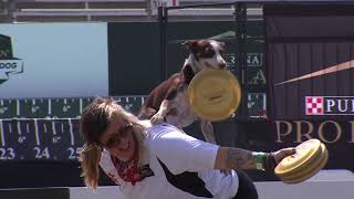 Dog Sports: Flying Disc Competition for Active Dogs by Purina Pro Plan 2,624 views 10 months ago 3 minutes, 49 seconds