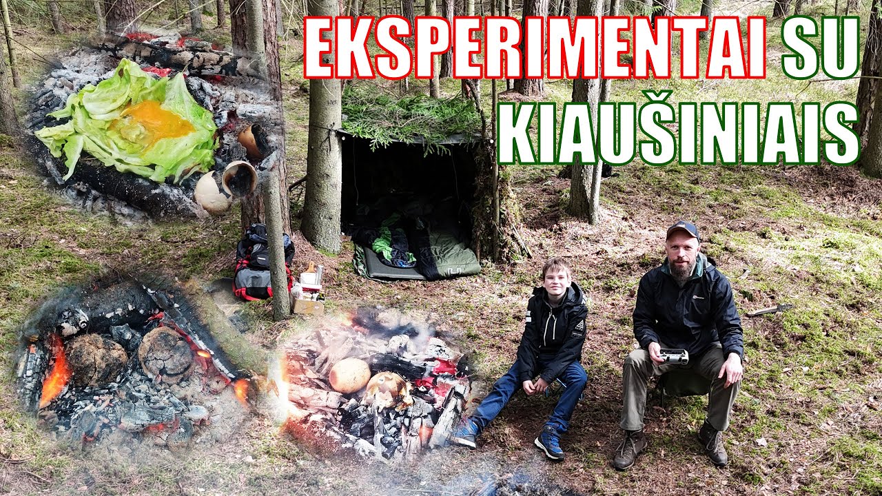 BŪSTINĖ miške ir kiaušiniai MOLYJE, ant KOPŪSTO lapo, LAUŽE ir po LAUŽU