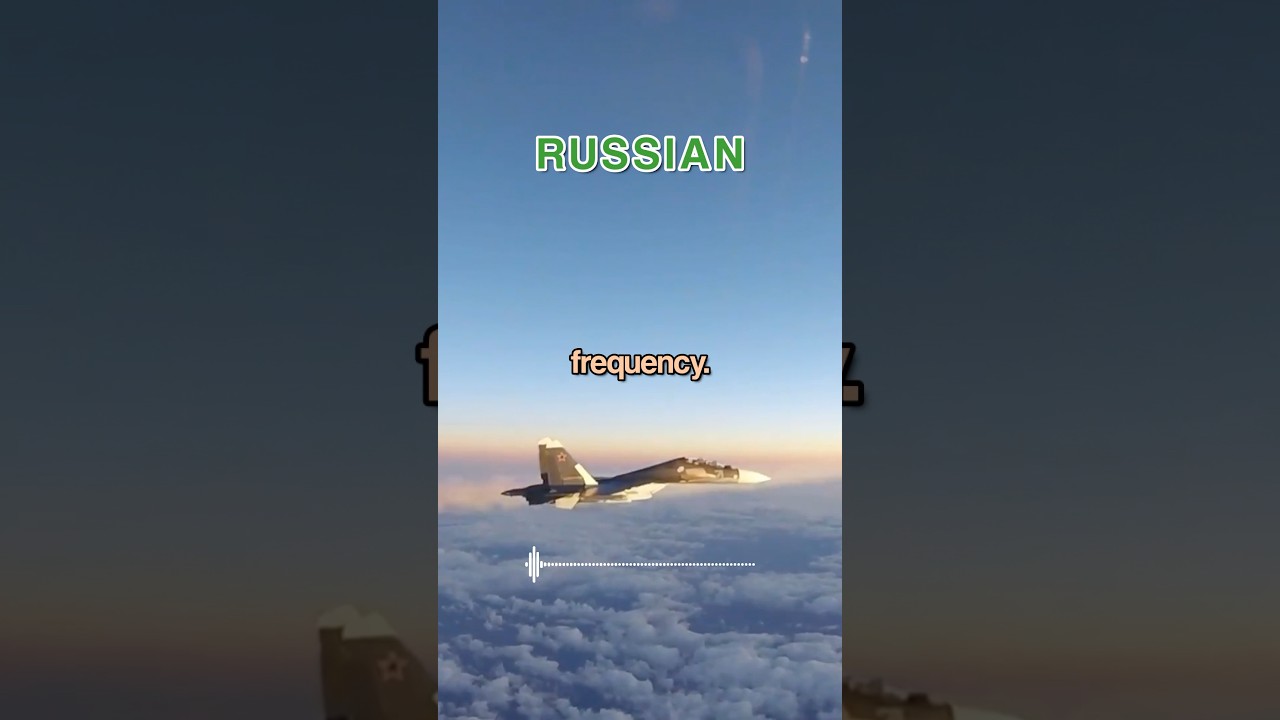 Rookie INTERRUPTS Tense Military Standoff 😳