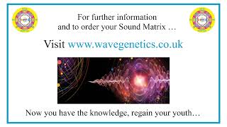 What is Wave Genetics