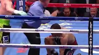 Power Of Canelo Alvarez Master Of Counter Punch Highlights