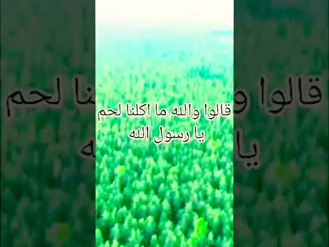 موقف النبي ﷺ مع رجلين حول الغيبة بدر المشاري