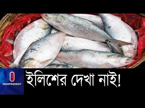 ভিডিও: সমুদ্রে