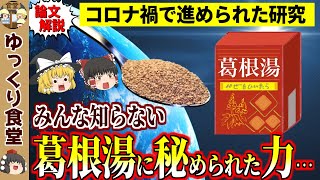 【1800年の歴史】コロナ禍で判明した葛根湯の効力と注意点【ゆっくり解説】