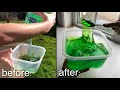 GRASS + SOAP = SLIME? 💚 Testing NO GLUE slime recipes!