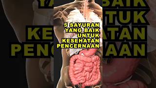 5 Sayuran Yang Baik Untuk Kesehatan Pencernaan #ekoazis