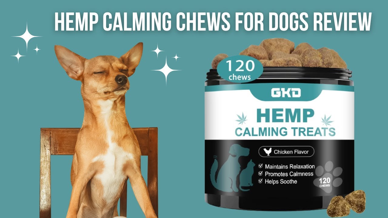 Hemp Calming Chews for Dogs Review - YouTube