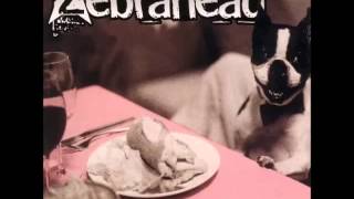 Zebrahead - Hello Tomorrow Live 2004? audio