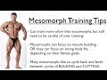 Ectomorph, Endomorph or Mesomorph - Training for YOUR Body Type