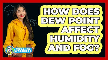 How Does Dew Point Affect Humidity And Fog? - Weather Watchdog
